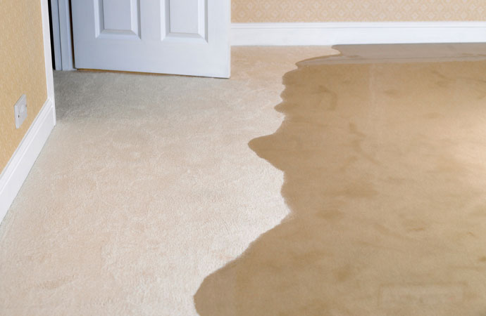 Water Damage Do’s and Don’ts - Dry Out Systems